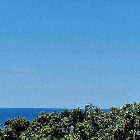 Joli T2 En Bas De Villa Vue Jardin Et Mer Вю-Абитан Екстериор снимка